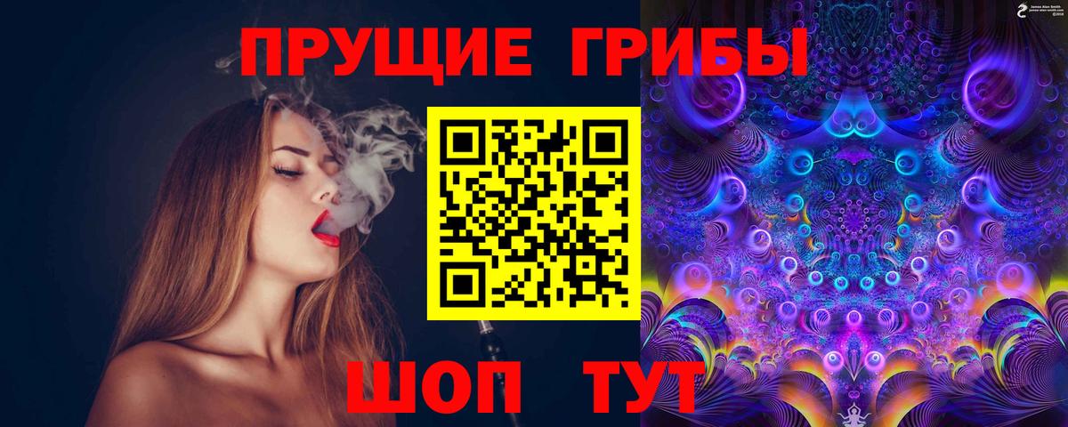 Галлюциногенные грибы Psilocybe Урус-Мартан